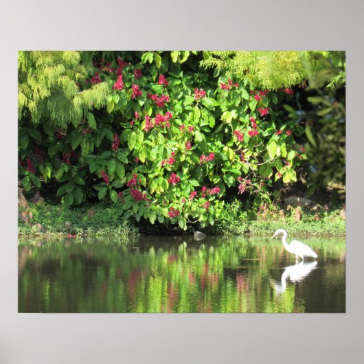 Great Egret Fishing - Beautiful Landscape Poster (Voorkant)