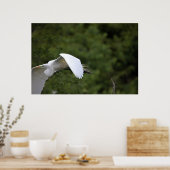 Great Egret Flying Poster (Keuken)