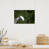 Great Egret Flying Poster (Keuken)