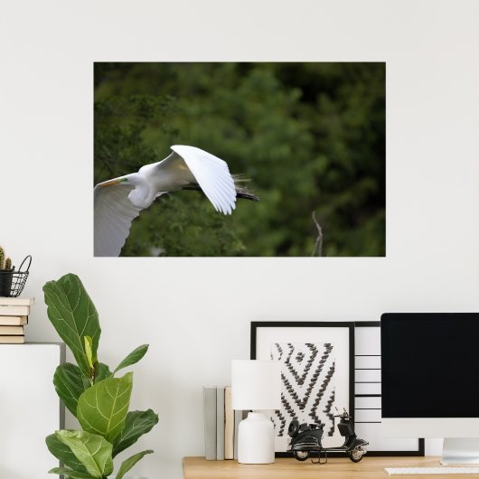 Great Egret Flying Poster (Thuiskantoor)