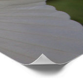 Great Egret Flying Poster (Hoek)