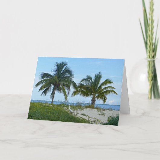Great Egret, Great Abaco Island, Bahamas Card Kaart (Voorkant)