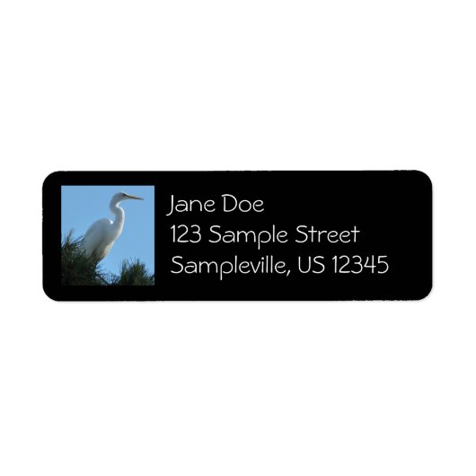 Great Egret in Sunny Florida Etiket (Voorkant)