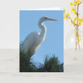 Great Egret in Sunny Florida Kaart (Gele Bloem)