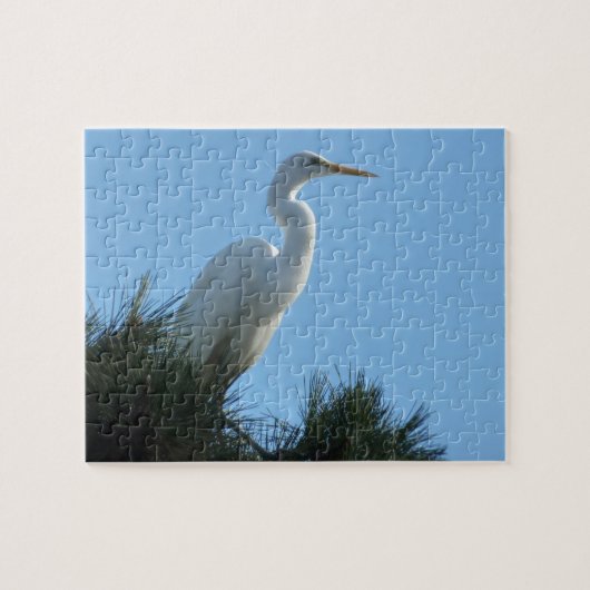 Great Egret in Sunny Florida Legpuzzel (Horizontaal)
