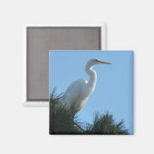 Great Egret in Sunny Florida Magneet (Voorkant / Achterkant)