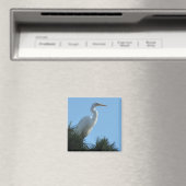 Great Egret in Sunny Florida Magneet (Insitu (Vaatwasser))