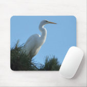 Great Egret in Sunny Florida Muismat (Met muis)