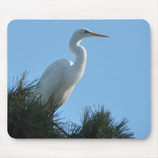 Great Egret in Sunny Florida Muismat (Voorkant)