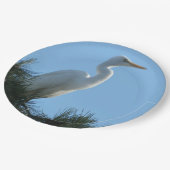 Great Egret in Sunny Florida Papieren Bordje (Gekanteld)