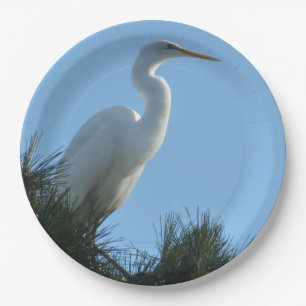 Great Egret in Sunny Florida Papieren Bordje