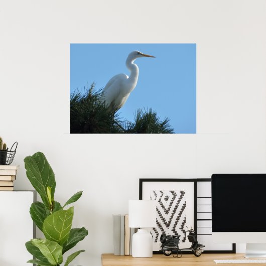 Great Egret in Sunny Florida Poster (Thuiskantoor)