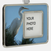 Great Egret in Sunny Florida Verzilverd Omlijst Ornament (Rechts)