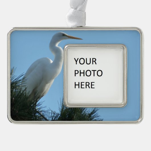 Great Egret in Sunny Florida Verzilverd Omlijst Ornament (Voorkant)