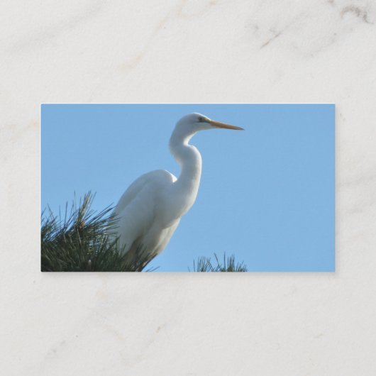 Great Egret in Sunny Florida Visitekaartje (Achterkant)
