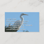 Great Egret in Sunny Florida Visitekaartje (Voorkant)