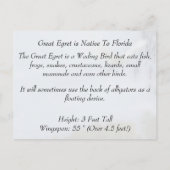 Great Egret - Learning Briefkaart - Florida (Achterkant)