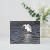 Great Egret Lunch Briefkaart (Staand voorkant)
