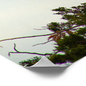 Great Egret Poster (Hoek)