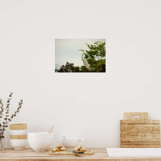Great Egret Poster (Keuken)