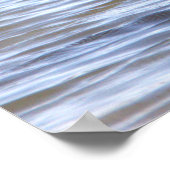 Great Egret Poster (Hoek)