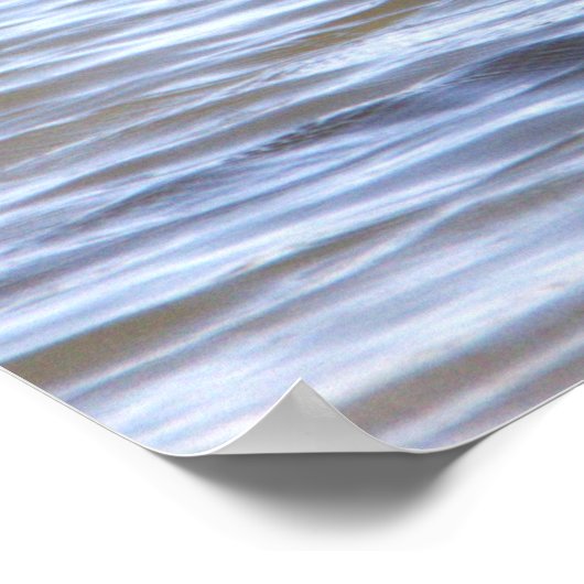 Great Egret Poster (Hoek)