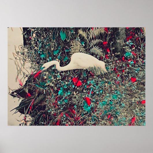 Great Egret Red Poster (Voorkant)
