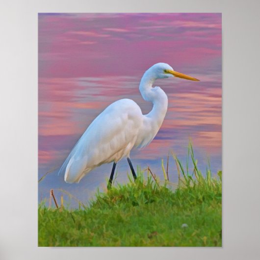 Great Egret Strollen op zonsopgang Poster (Voorkant)