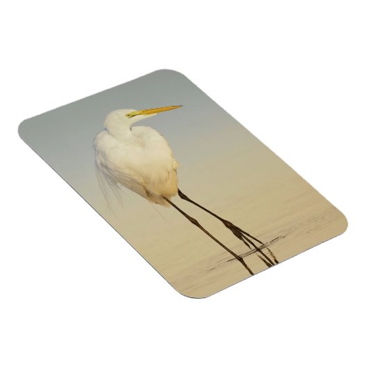 Great Egret Walking Magnet Magneet (Rechterzijde)