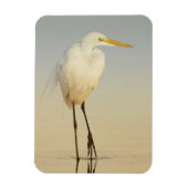 Great Egret Walking Magnet Magneet (Verticaal)