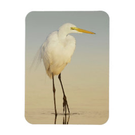 Great Egret Walking Magnet Magneet
