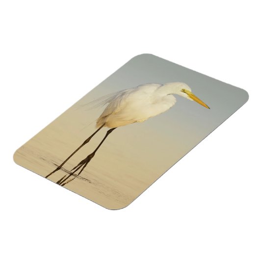 Great Egret Walking Magnet Magneet (Linkerzijde)