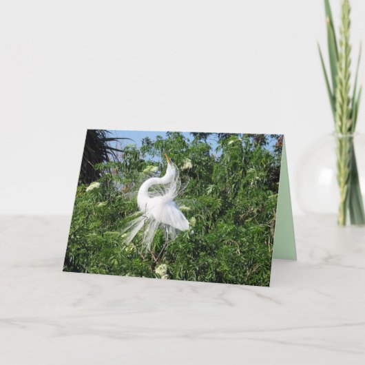 Great Egret Wenskaart Kaart (Voorkant)