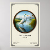 Great Egret Zoology Series Poster (Voorkant)