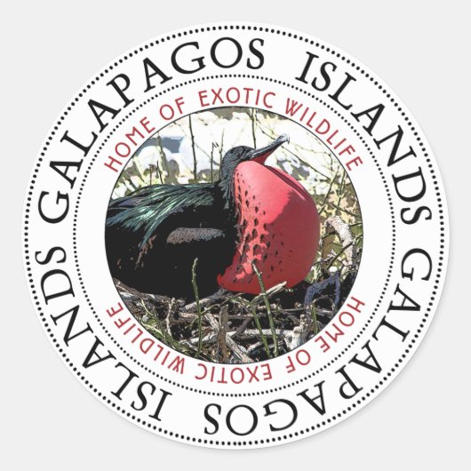 Great Frigate Bird Galapagos Islands Ronde Sticker (Voorkant)