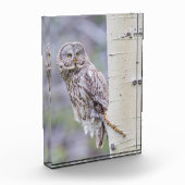 Great Grey Aspen Tree Branch Fotoblokken (Links)