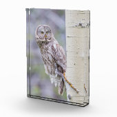 Great Grey Aspen Tree Branch Fotoblokken (Rechts)