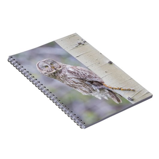 Great Grey Aspen Tree Branch Notitieboek (Rechterzijde)