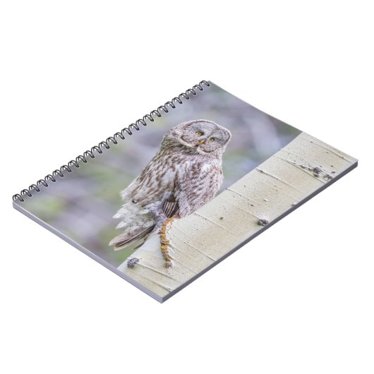 Great Grey Aspen Tree Branch Notitieboek (Linkerzijde)