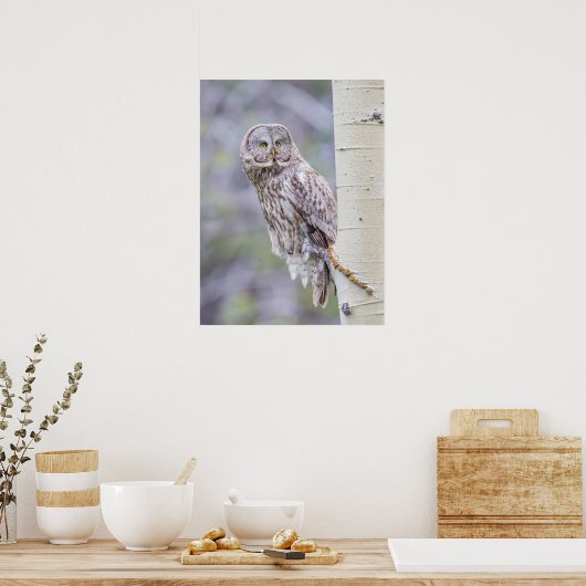 Great Grey Aspen Tree Branch Poster (Keuken)