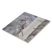 Great Grey Aspen Tree Branch Tegeltje (Zijkant)