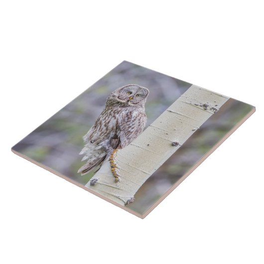 Great Grey Aspen Tree Branch Tegeltje (Zijkant)