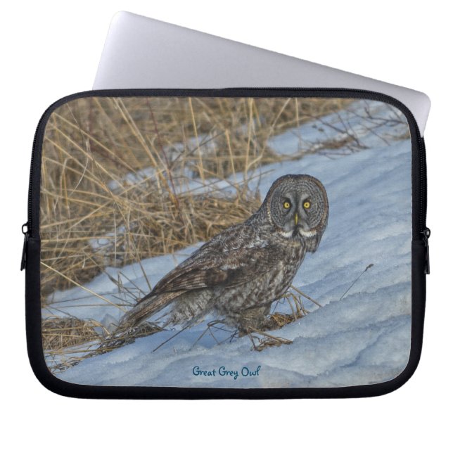 Great Grey Owl Raptor Winter Wildlife Foto Laptop Sleeve (Voorkant)