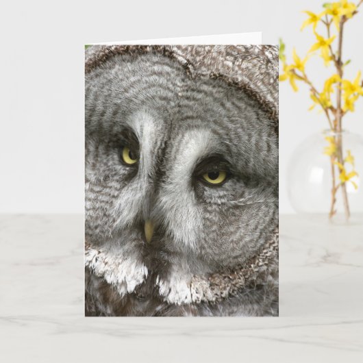 Great Grey Owl Wenskaart Kaart (Gele Bloem)
