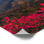 Great heights demand a deeper will. Inspiration Poster (Hoek)