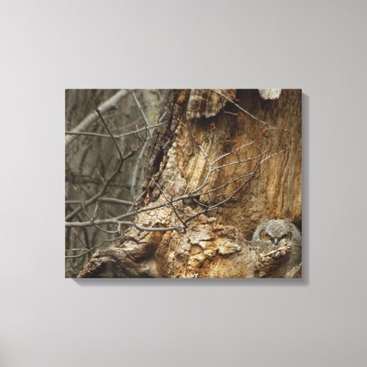 Great Horlet — Wildlife Photography Canvas Afdruk (Voorkant)