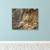 Great Horlet — Wildlife Photography Canvas Afdruk (Insitu (Houten vloer))