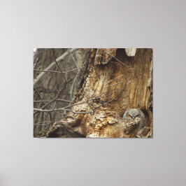 Great Horlet — Wildlife Photography Canvas Afdruk