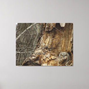Great Horlet — Wildlife Photography Canvas Afdruk