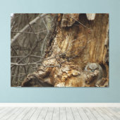 Great Horlet — Wildlife Photography Canvas Afdruk (Insitu (Houten vloer))